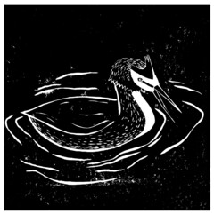 Grèbe-Mémory