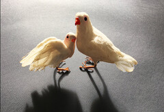 Suzanne-aux-oiseaux Suzanne-aux-oiseaux