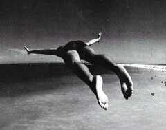 Le Grand Saut Le Grand Saut