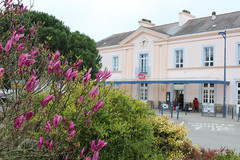 GARE GARE